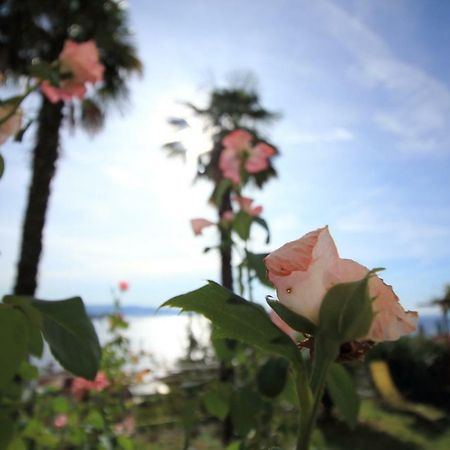 Tramontana Leeward - Cozy And Charming Apartment In Beautiful Volosko 奥帕提亚 外观 照片